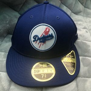 Los Angeles Dodgers Hat